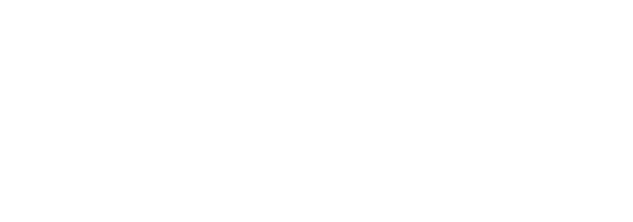 Handball Inspires
